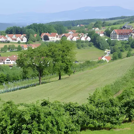In - Steiermark 44009